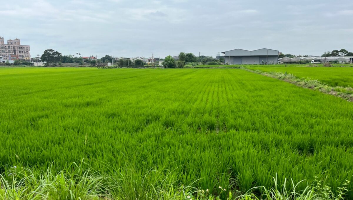 獨家湖南段743坪美農地_230529_2