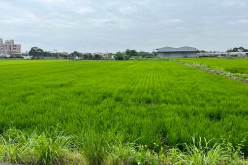 獨家湖南段743坪美農地_230529_2