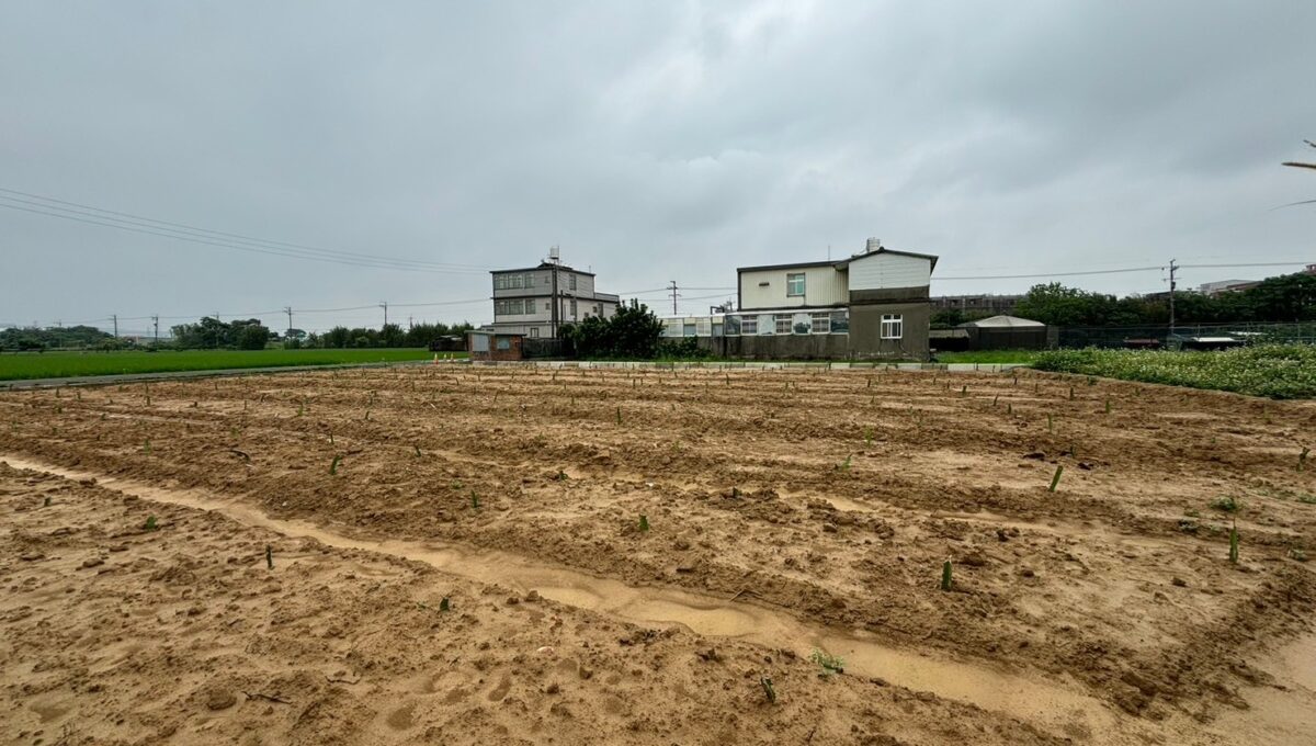 四湖段小坪數農地_240429_3