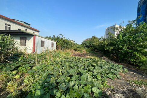 LINE_ALBUM_崁頭德豐甲建290_240601_8